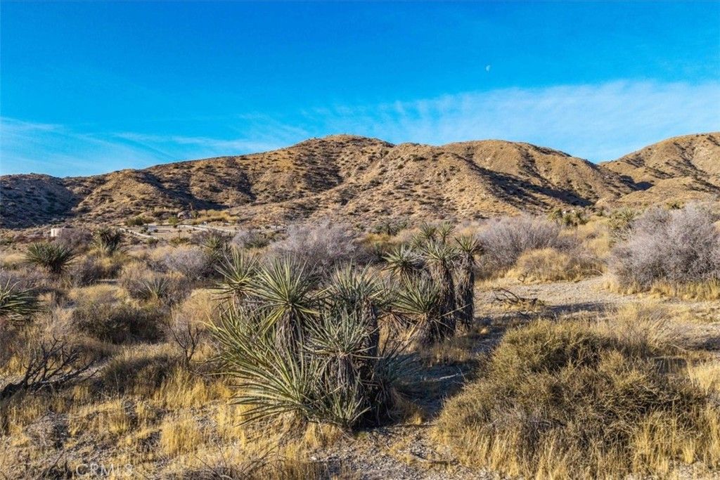 Image 5 of property listing at 0 Palo Verde Road, Morongo Valley, CA 92256