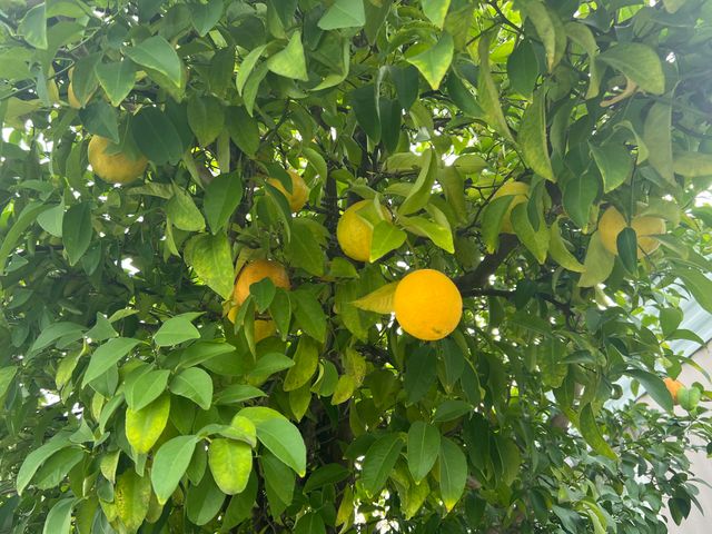 481 Twin View Boulevard, 97, Redding, CA 96003