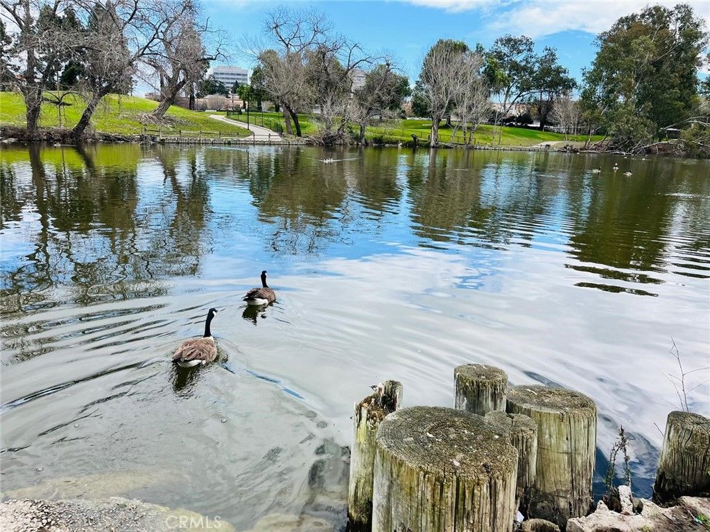 Image 39 of property listing at 1731 Ellis Street 16, Concord, CA 94520