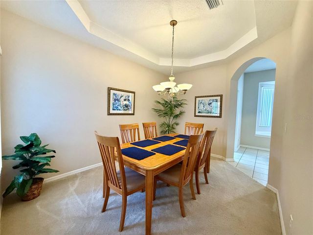 113 PLUMOSO LOOP, Davenport, FL 33897