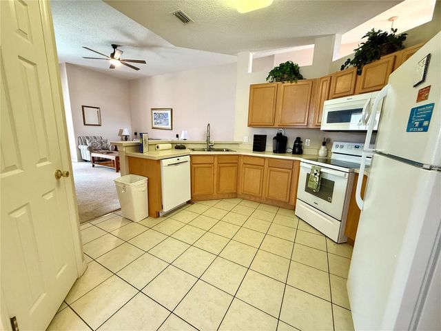 113 PLUMOSO LOOP, Davenport, FL 33897