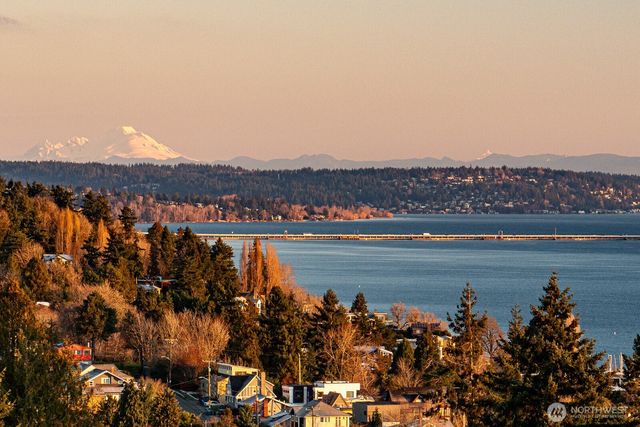 1354 32nd Avenue S, Seattle, WA 98144