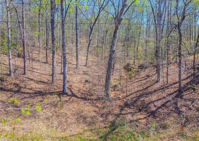 0 Arrow Lane, Lavonia, GA 30553