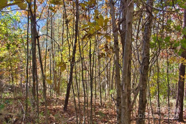 0 Creekside Circle 113, Rutherfordton, NC 28139