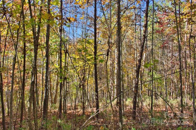 0 Creekside Circle 113, Rutherfordton, NC 28139