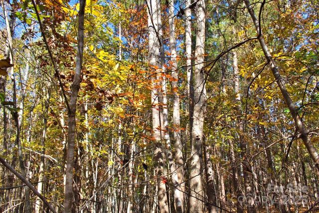 0 Creekside Circle 113, Rutherfordton, NC 28139