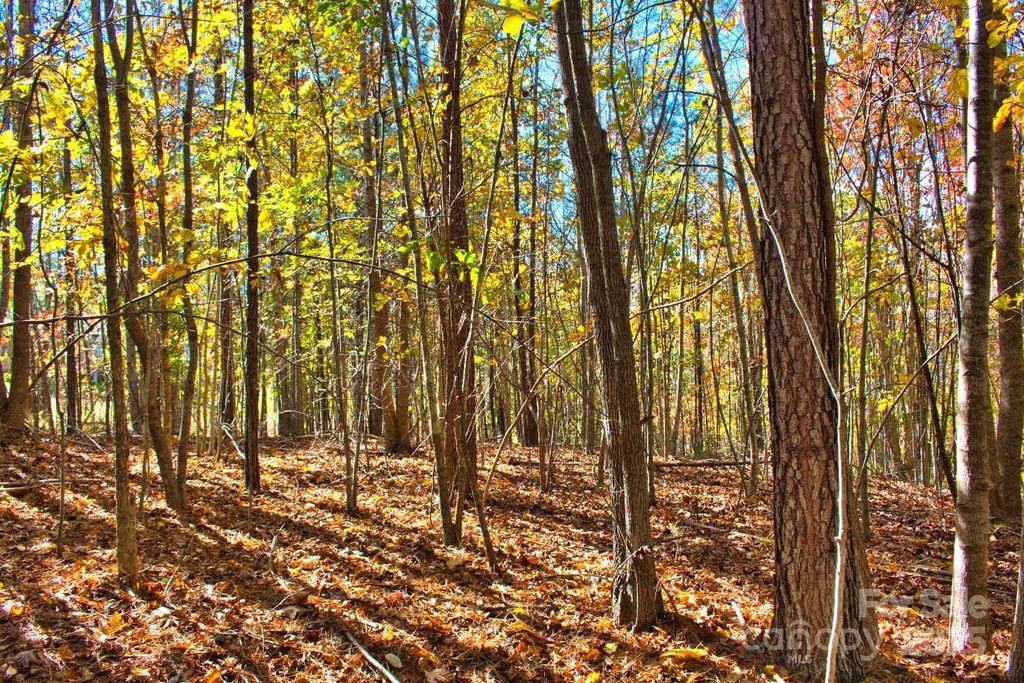 0 Creekside Circle 113, Rutherfordton, NC 28139