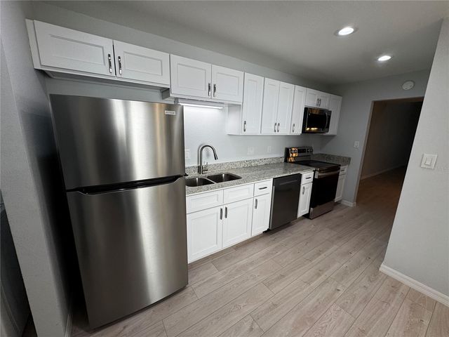 2205 CYPRESS COVE DRIVE, Tavares, FL 32778