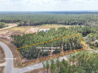 15531 Forest Grove Drive, Willis, TX 77378