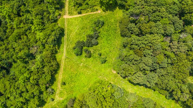 0 Lodge Point Road, South Pittsburg, TN 37380