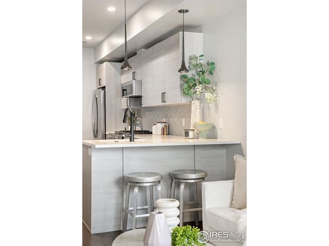 405 Harrison St 3, Denver, CO 80206