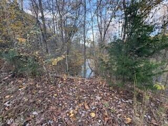 250 Pendleton Road, Blountville, TN 37617