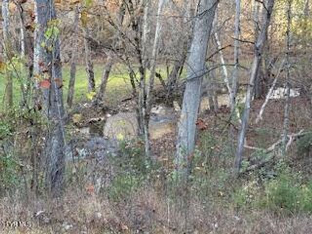 250 Pendleton Road, Blountville, TN 37617