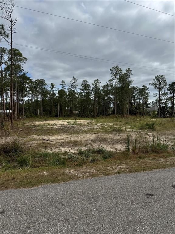 804 Desoto AVE, LEHIGH ACRES, FL 33972 — photo 2