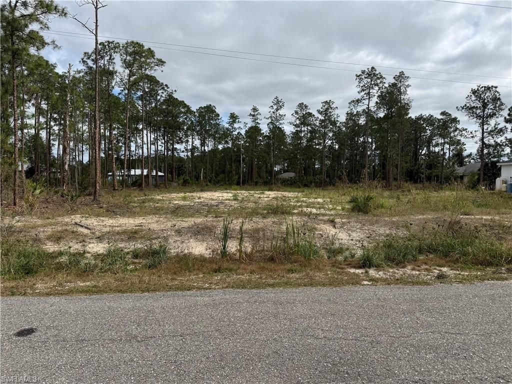 804 Desoto AVE, LEHIGH ACRES, FL 33972 — photo 3