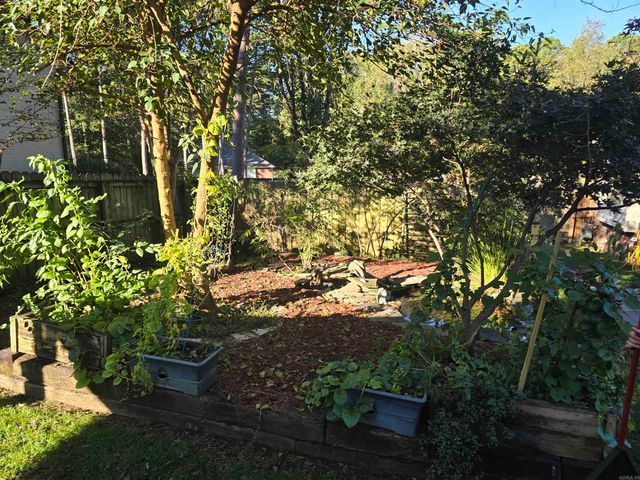 3065 Cottontop Road, Conway, AR 72034