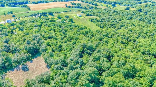 11769 Orrick Road, Excelsior Springs, MO 64024