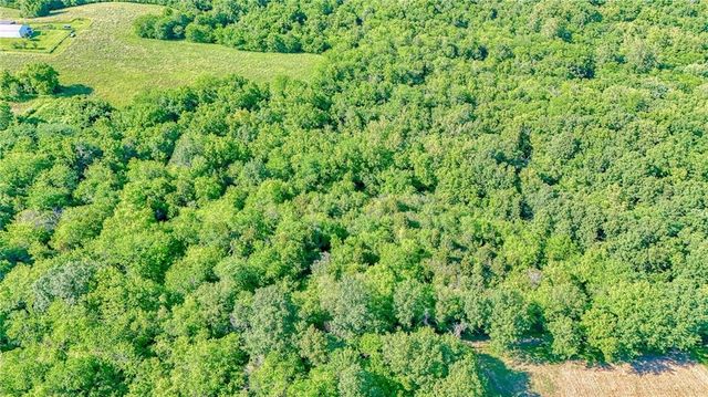 11769 Orrick Road, Excelsior Springs, MO 64024