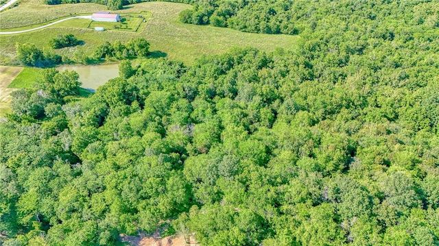 11769 Orrick Road, Excelsior Springs, MO 64024
