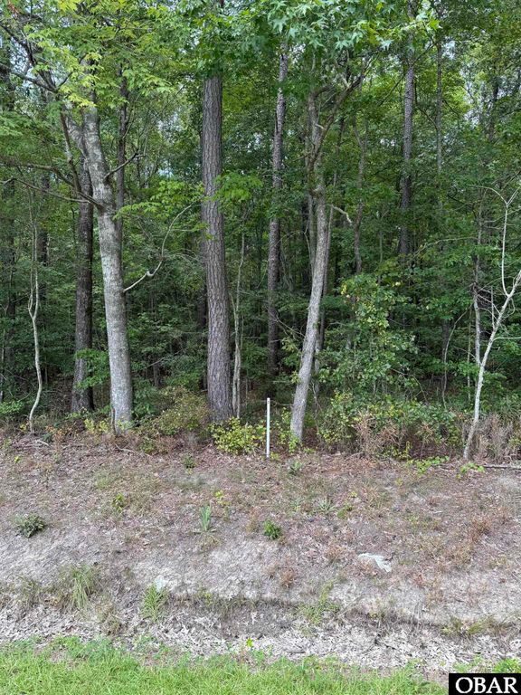 TBD Boat Ramp Road Lot 3, New Hope, NC 27944