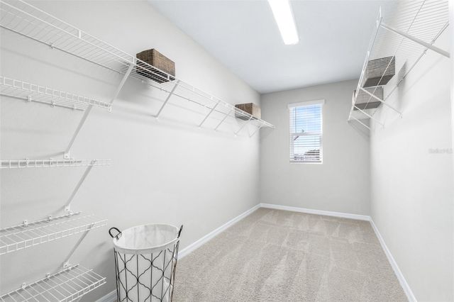 7538 WALLFLOWER TRAIL, Wesley Chapel, FL 33545