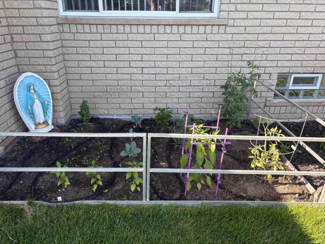 5100 Stellar Rd Road, Shelby Twp, MI 48316