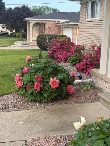 5100 Stellar Rd Road, Shelby Twp, MI 48316