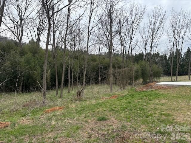 99999 Tatoonie Lane, Asheville, NC 28804