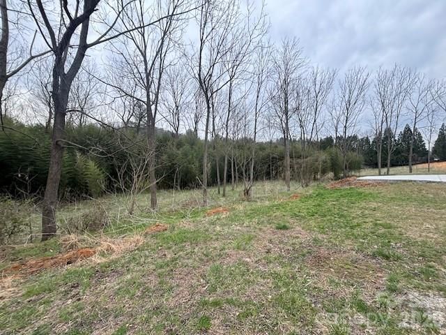 99999 Tatoonie Lane, Asheville, NC 28804