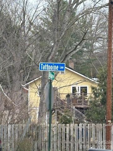 99999 Tatoonie Lane, Asheville, NC 28804