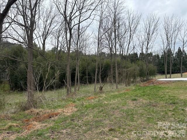 99999 Tatoonie Lane, Asheville, NC 28804