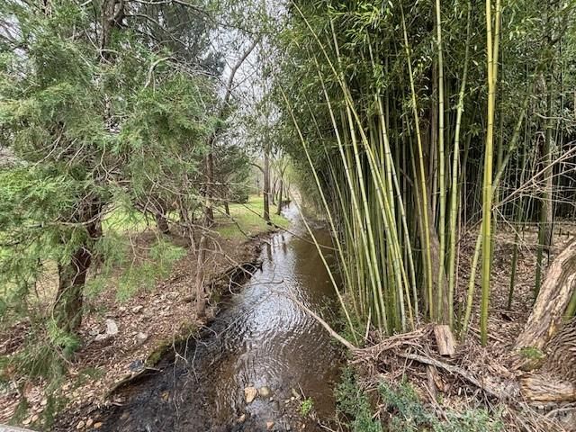 99999 Tatoonie Lane, Asheville, NC 28804