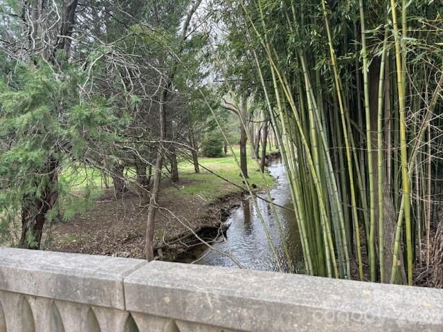 99999 Tatoonie Lane, Asheville, NC 28804