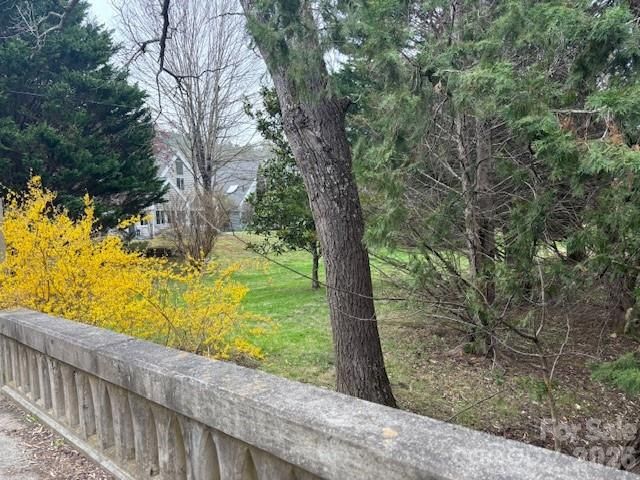 99999 Tatoonie Lane, Asheville, NC 28804