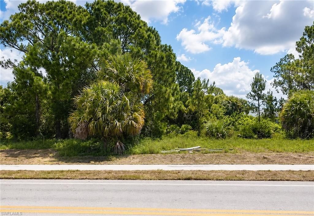 137 Bell BLVD S, LEHIGH ACRES, FL 33974 — photo 4
