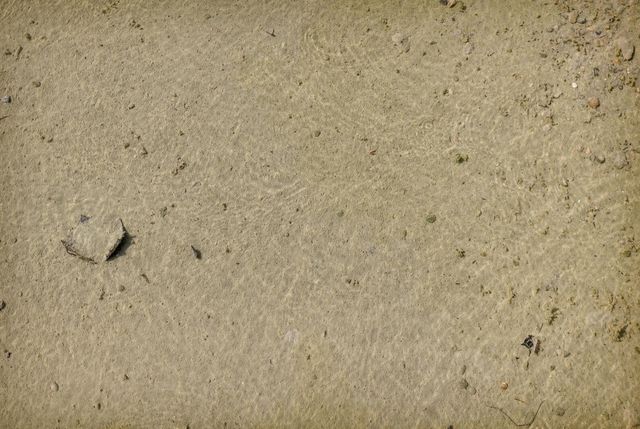 2449 Peachtree Court, Manitou Beach, MI 49253