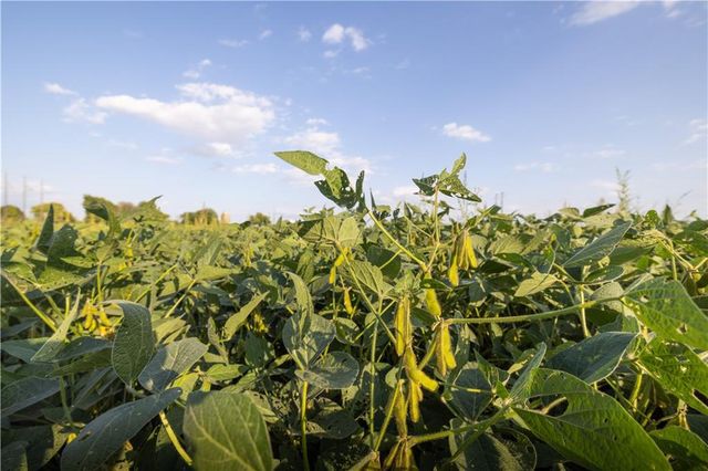 E 291st Street, Harrisonville, MO 64701