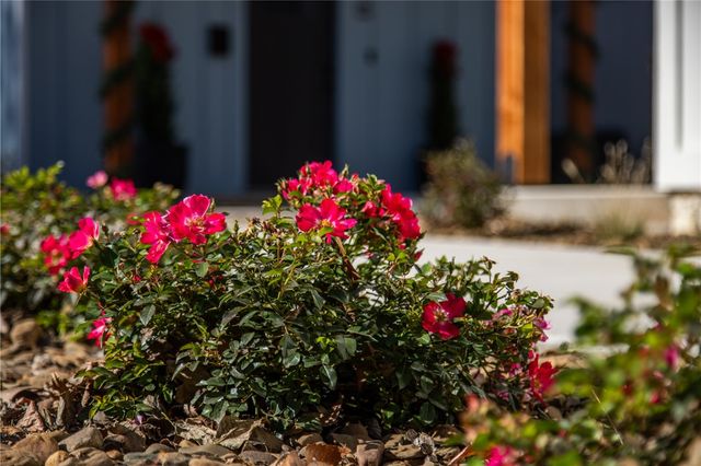 650 W Price Avenue, Springdale, AR 72764