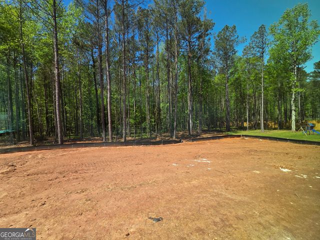 253 Meadows Drive, Bethlehem, GA 30620