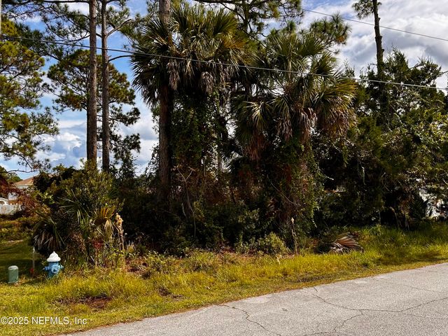 88 PRINCESS RUTH Lane, Palm Coast, FL 32164