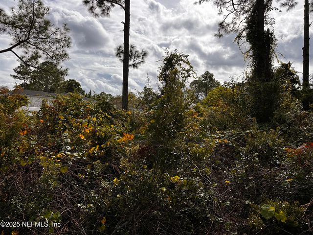 88 PRINCESS RUTH Lane, Palm Coast, FL 32164