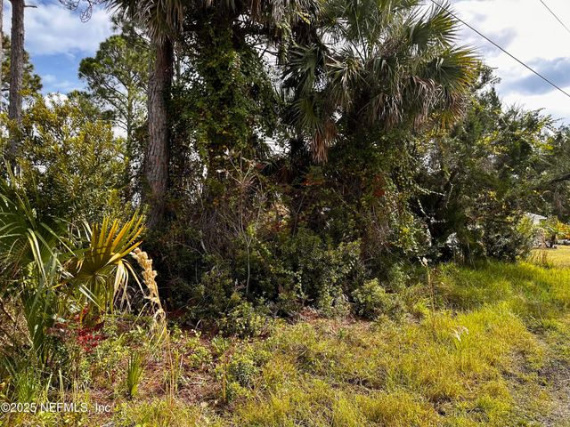 88 PRINCESS RUTH Lane, Palm Coast, FL 32164