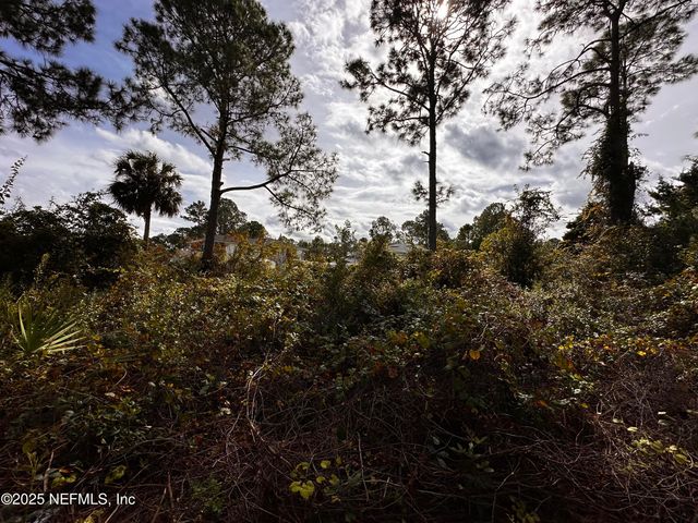 88 PRINCESS RUTH Lane, Palm Coast, FL 32164