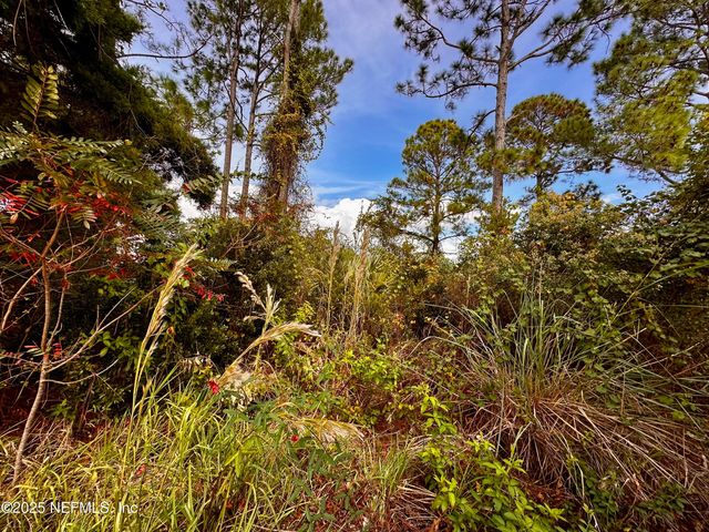 88 PRINCESS RUTH Lane, Palm Coast, FL 32164