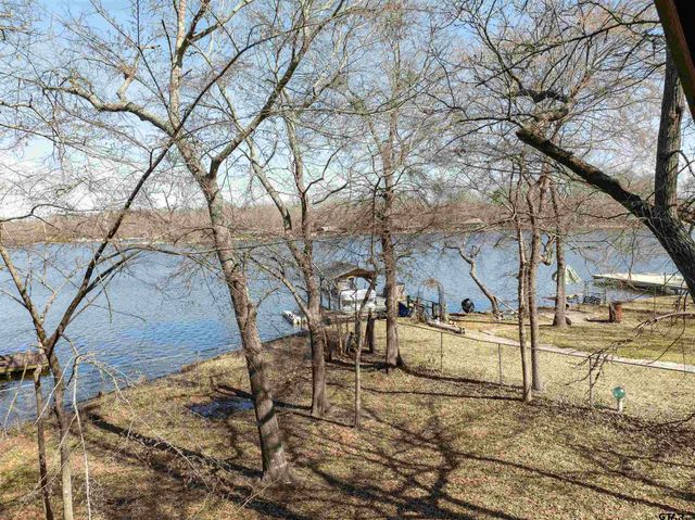 770 Dogwood Trail, Murchison, TX 75778