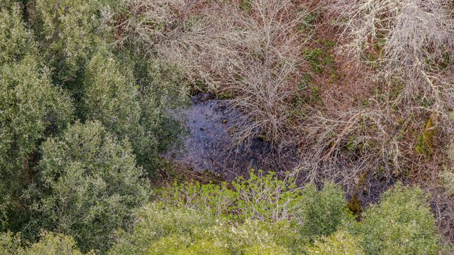 13890 Shake Ridge Rd, Sutter Creek, CA 95685