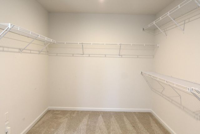 155 Whitetail Circle, Sumter, SC 29154