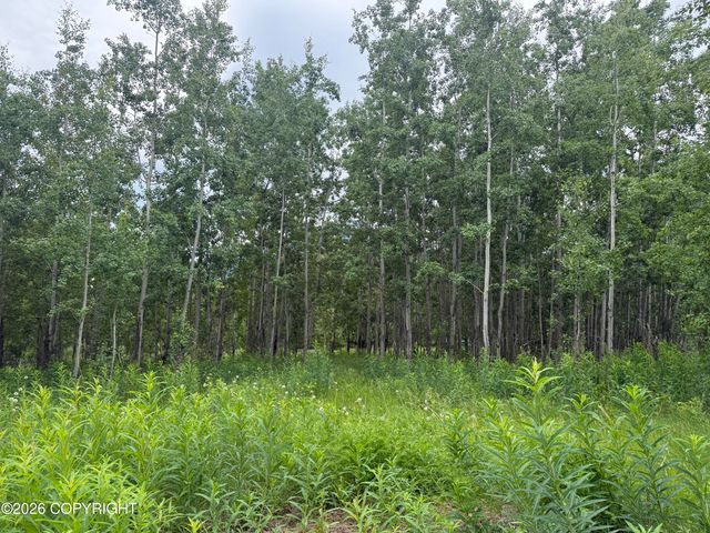 2150 S Sea Biscuit Lane, Palmer, AK 99645