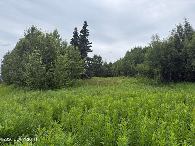 2150 S Sea Biscuit Lane, Palmer, AK 99645