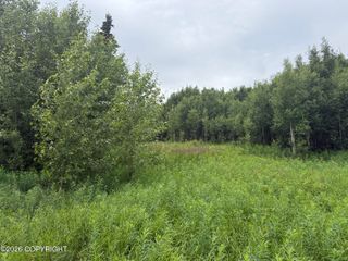 2150 S Sea Biscuit Lane, Palmer, AK 99645
